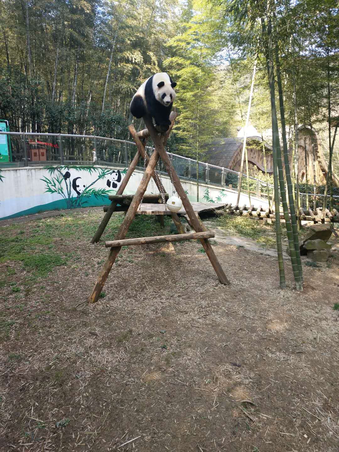 1553826094767874.jpg 1553826094767874.jpg