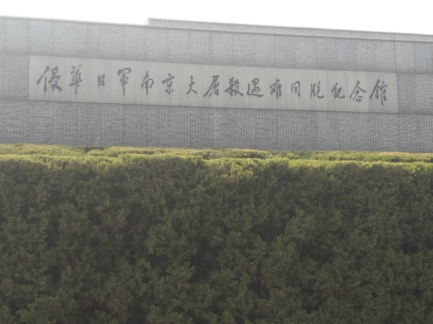 1553826477931644.jpg 1553826477931644.jpg