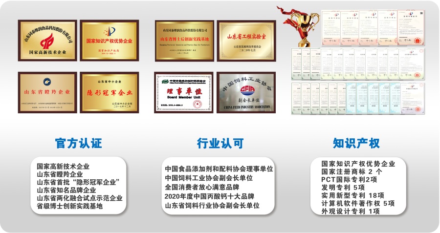 1656293072603221.jpg 創(chuàng)新榮譽(yù)3.jpg